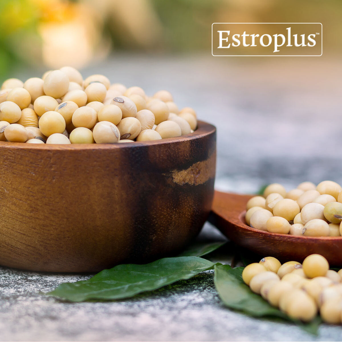 Estroplus The Power of Soy Isoflavones: Understanding Nutritional Support for Me ...